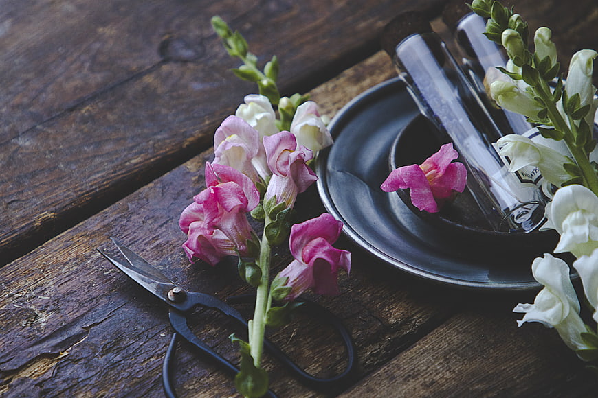 Rustic floral arrangement with pink snapdragons and vintage scissors on wood