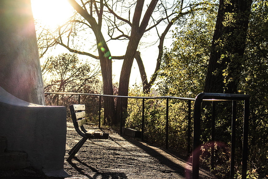 Sunlit Park Bench with Trees and Metal Railing