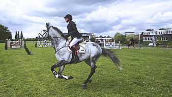Woman riding grey horse in equestrian show jumping field
