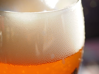 Close-up of golden wheat beer with thick foam head in glass