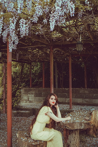 Woman in Yellow Dress Sitting Under Wisteria Flowers