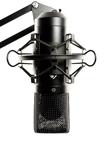 Black Studio Condenser Microphone in Shock Mount on White Background