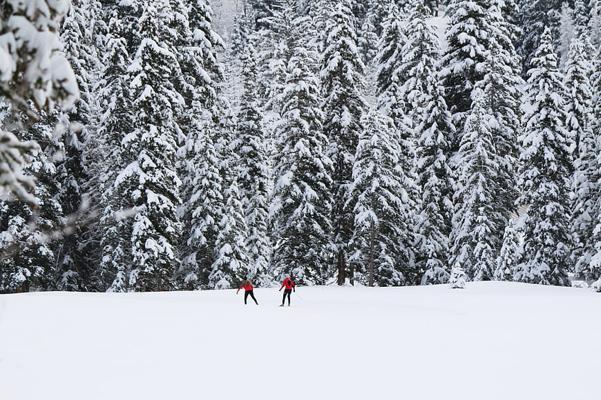 Two skiers in red jackets on snowy slope with pine forest