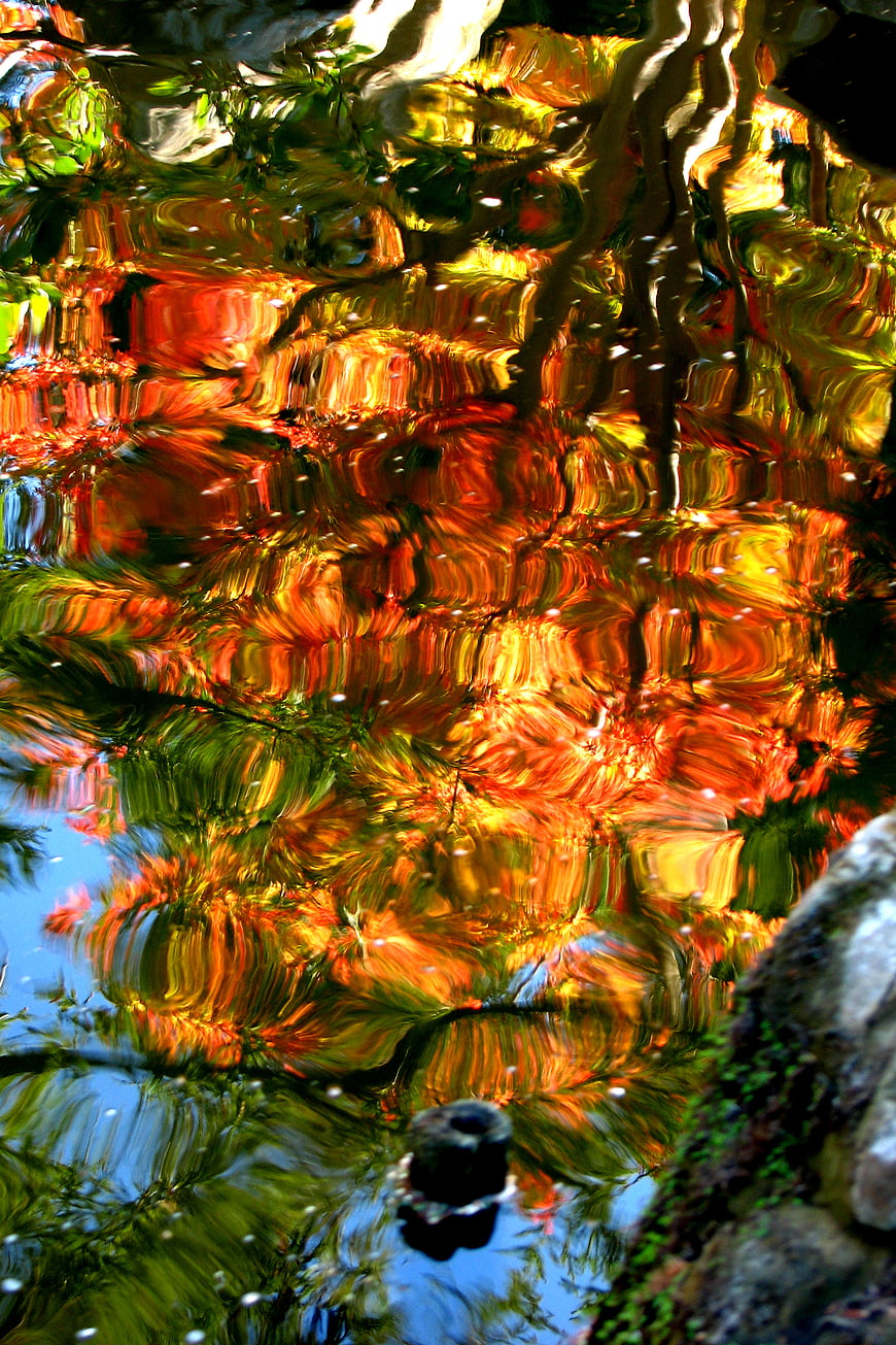 Abstract Autumn Reflection in Rippling Water