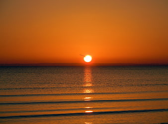 Sunset Over Calm Sea With Bird Silhouette And Golden Reflection