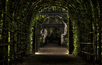 Dark Green Garden Tunnel with Arched Pergola and Vines