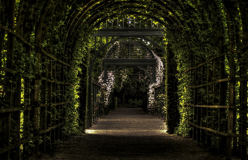 Dark Green Garden Tunnel with Arched Pergola and Vines