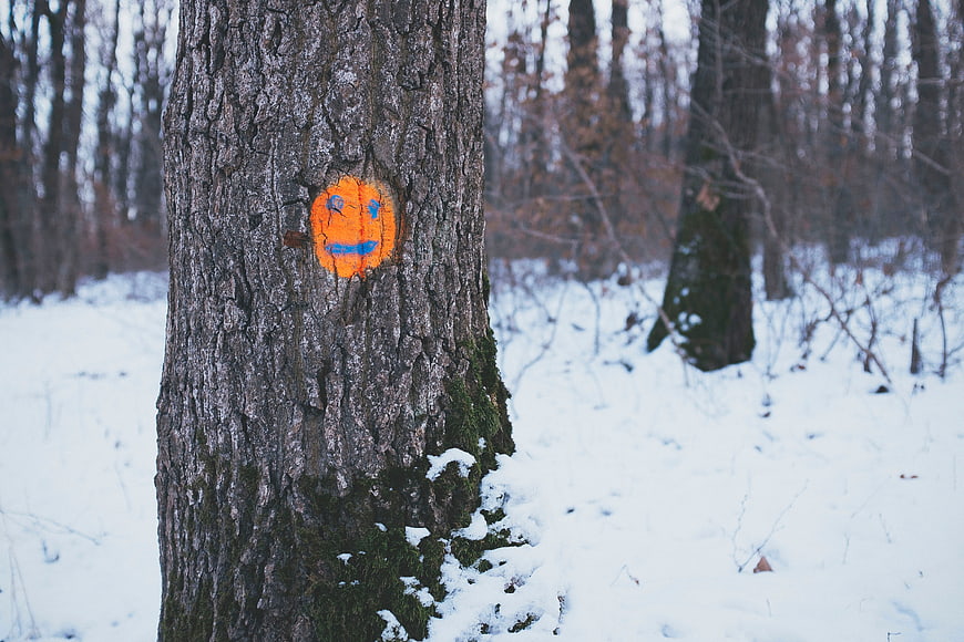 Orange smiley face painted on tree trunk in snowy winter forest