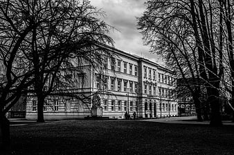 Black and White Architecture of Classical Building with Trees