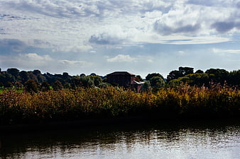 Riverside Landscape with House and Autumn Reeds