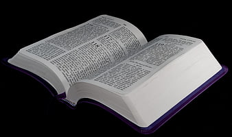 Open Purple Bible on Black Background
