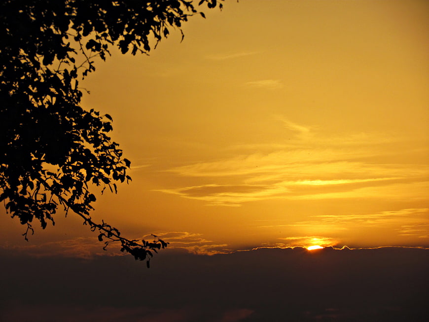 Golden Sunset Sky with Silhouetted Tree Branches