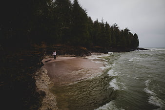 Lone figure standing on rocky beach with forest and ocean waves