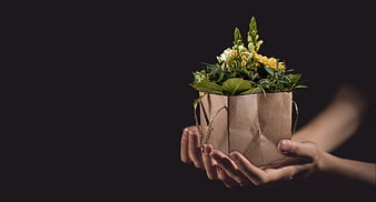 Hands holding paper bag with yellow flowers on dark background