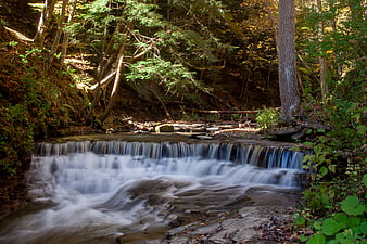 Serene Forest Stream with Small Waterfall in Autumn Woods