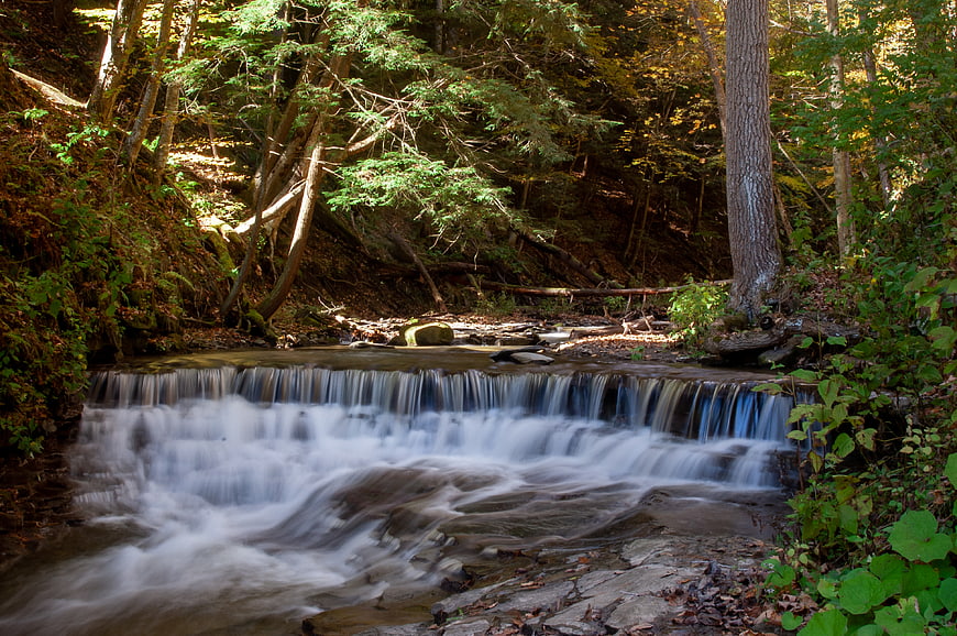 Serene Forest Stream with Small Waterfall in Autumn Woods