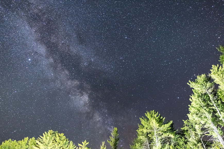 Milky Way Galaxy Over Pine Forest at Night