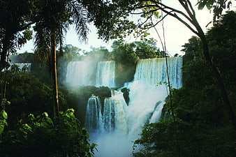 Majestic Iguazu Falls Waterfall in Lush Tropical Rainforest