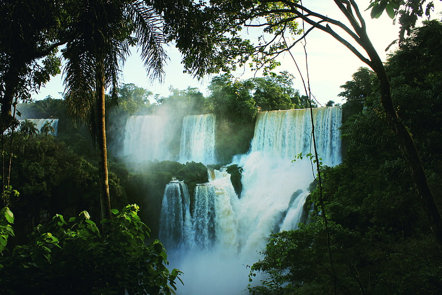 Majestic Iguazu Falls Waterfall in Lush Tropical Rainforest