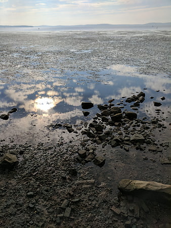 Chesapeake Bay Low Tide Shoreline With Rocky Mudflats And Cloud Reflections