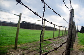 Barbed wire fence at Majdanek concentration camp in Poland