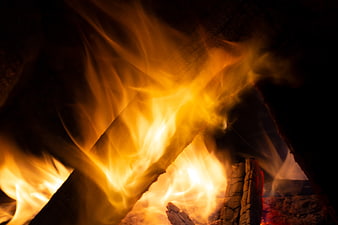 Close-up of burning logs in a warm campfire at night