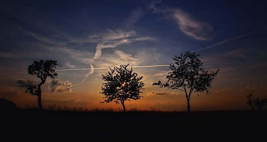 Silhouetted Trees Against Dramatic Sunset Sky with Contrails