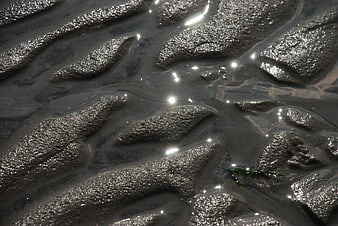 Close-up of wet sand ripples with sparkling water reflections
