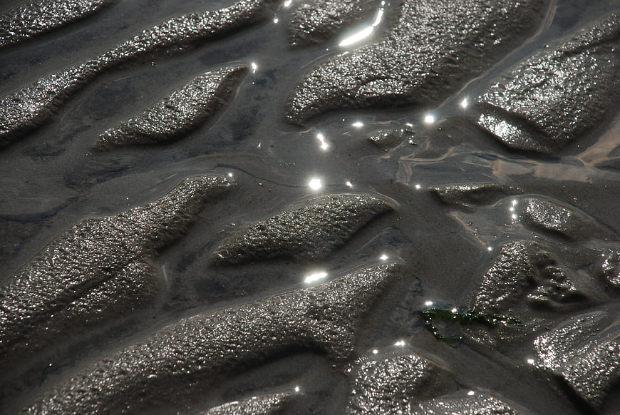 Close-up of wet sand ripples with sparkling water reflections