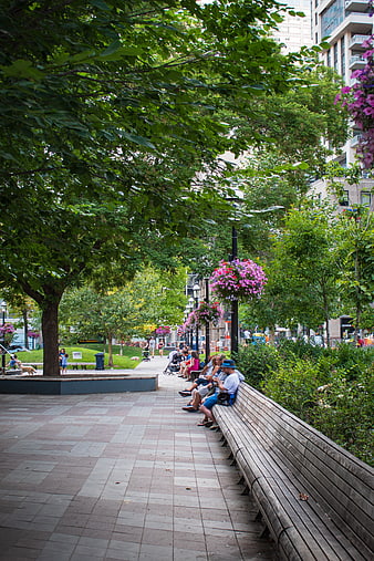 People relaxing on a long wooden bench in an urban park