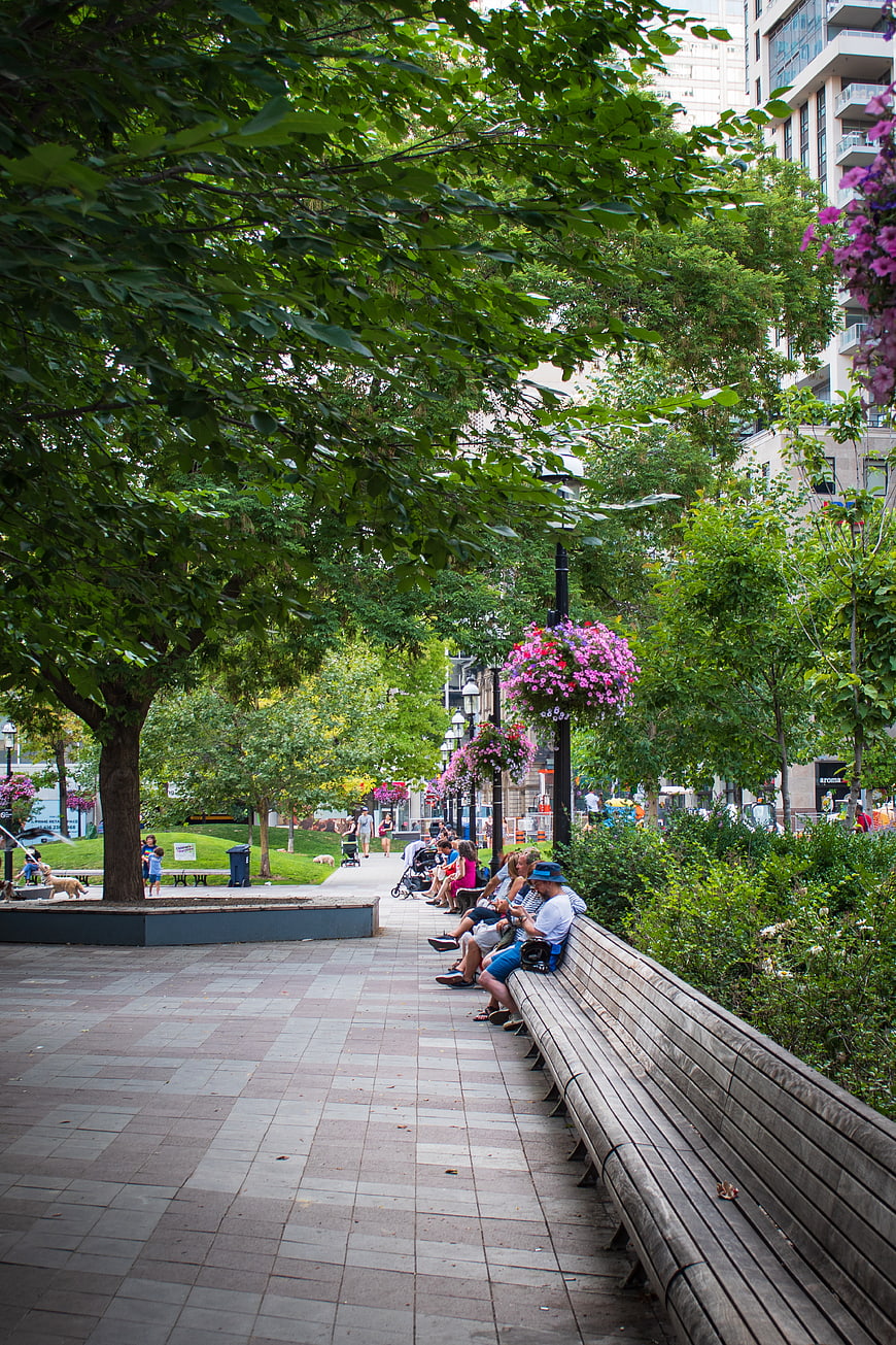 People relaxing on a long wooden bench in an urban park