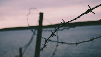 Barbed Wire Fence Silhouette Against Sunset Sky