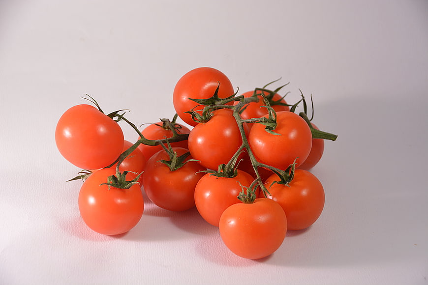 Fresh Red Tomatoes on the Vine on White Background