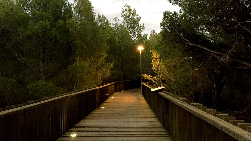 Wooden boardwalk bridge in forest at dusk with street lamp