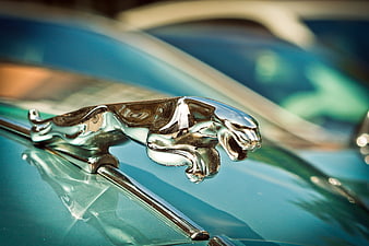 Close-up of vintage Jaguar hood ornament on classic car