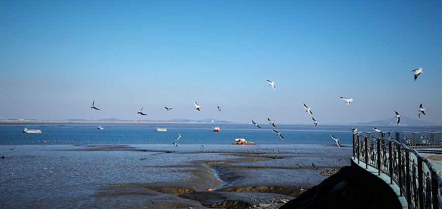 Seagulls Flying Over Coastal Breakwater and Ocean