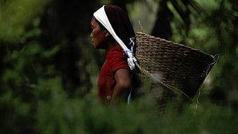 Woman Carrying Woven Basket in Forest