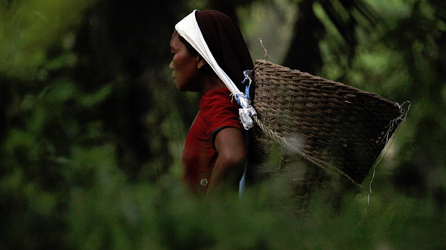 Woman Carrying Woven Basket in Forest