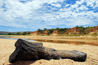 Burnt log on sandy riverbank with blue sky and clouds