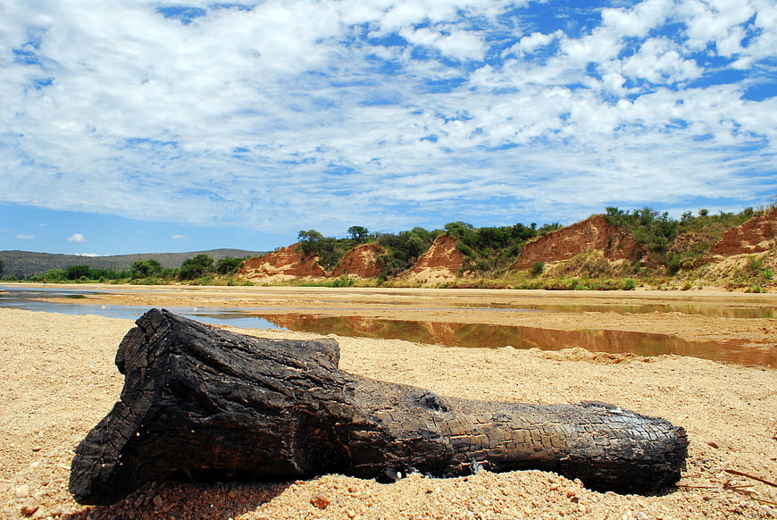 Burnt log on sandy riverbank with blue sky and clouds