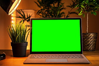 Laptop with Green Screen on Wooden Desk with Plants