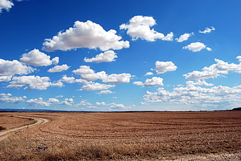 Vast plowed agricultural field under blue sky with clouds