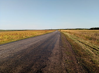 Empty rural asphalt road through golden autumn fields