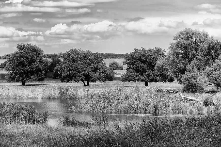Serene Black and White Landscape with River and Trees