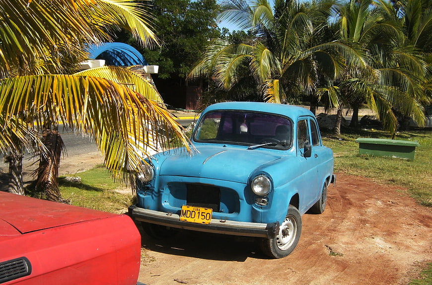 Vintage Blue Car Parked Under Palm Trees in Cuba