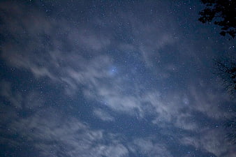 Starry night sky with clouds and tree silhouette