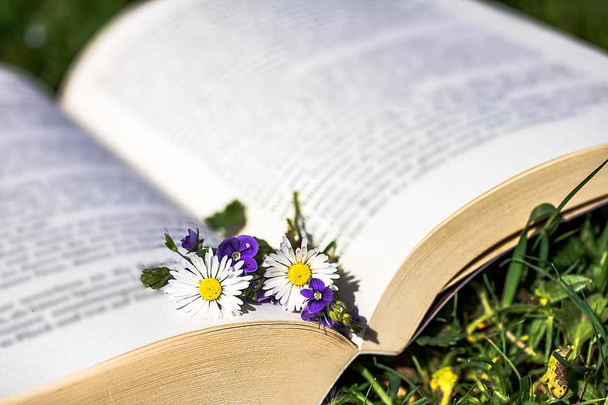 Open book with wildflowers on grass