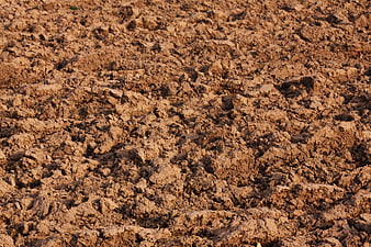 Close-up texture of tilled brown agricultural soil in a farm field