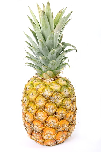 Whole Fresh Pineapple Isolated on White Background