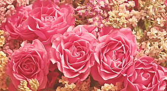 Close-up of pink roses and filler flowers in a romantic bouquet